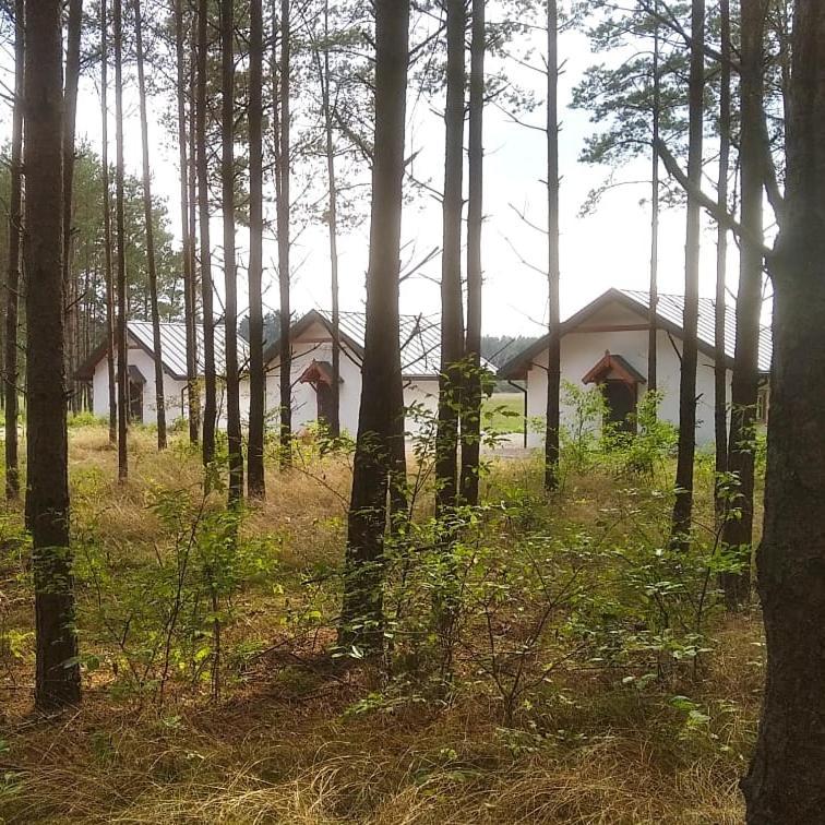 Zurawia Polana Villa Swietajno  Buitenkant foto