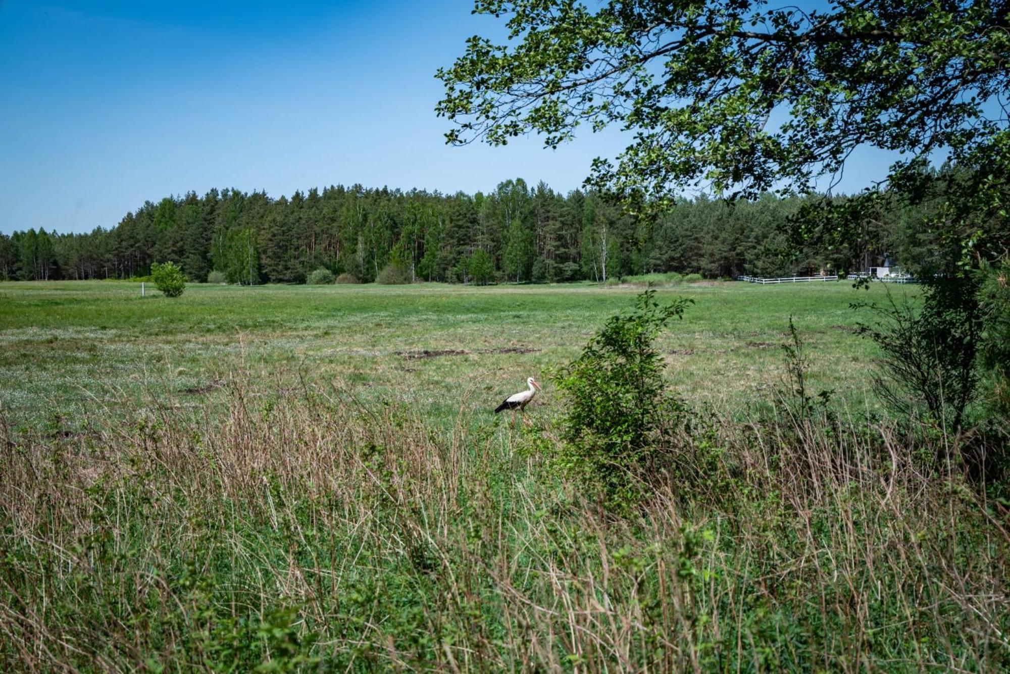 Zurawia Polana Villa Swietajno  Buitenkant foto